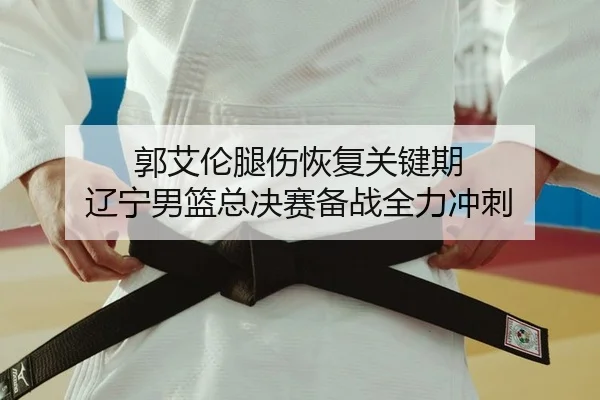 guo-ai-lun-tui-shang-hui-fu-guan-jian-qi-liao-ning-nan-lan-zong-jue-sai-bei-zhan-quan-li-chong-ci-2-385.jpg